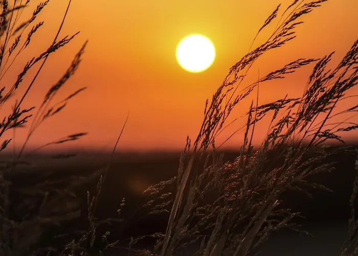 Santa Rita Lejlighed