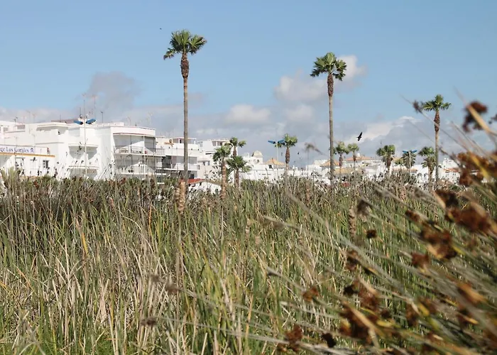 아파트 Santa Rita